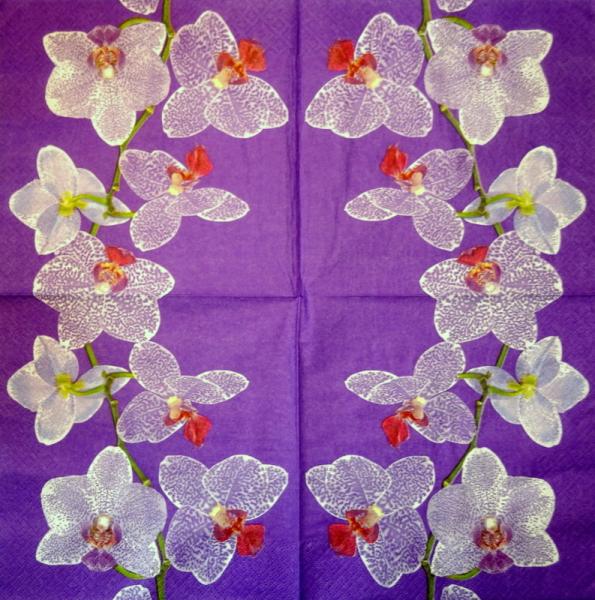 080 Orchideen - 3-lagig (pink) - ti-flair